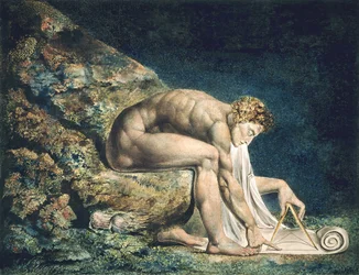 Newton